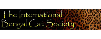 Allure Bengal Cats